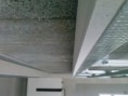 /album/rd-lapas/cam00696-jpg/